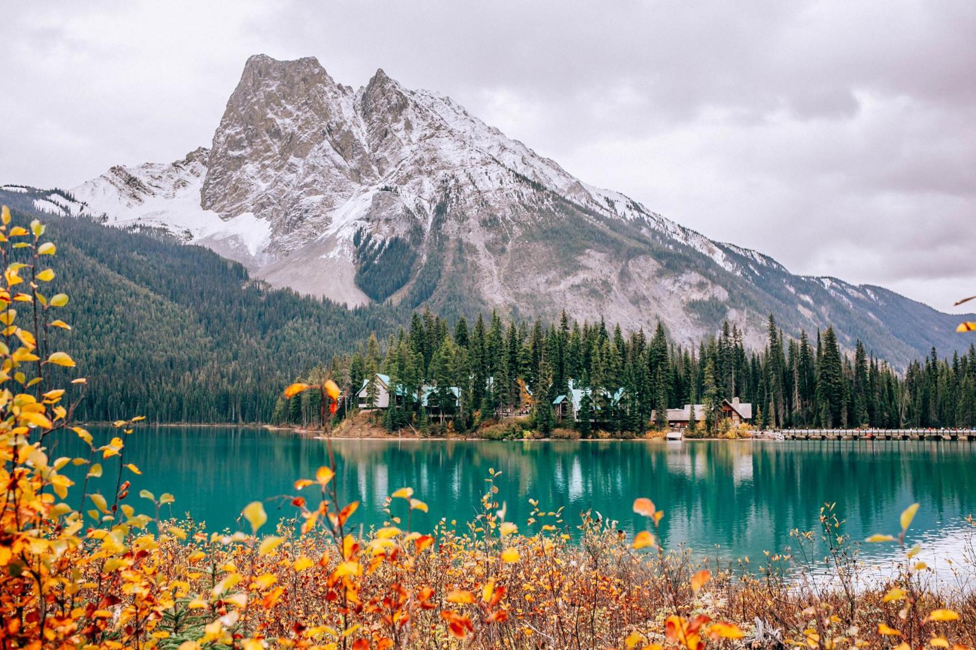 Emerald Lake Lodge Field Eksteriør bilde